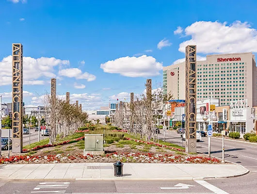 Visitor Guide
